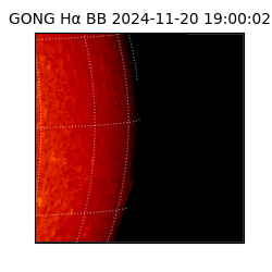 gong - 2024-11-20T19:00:02