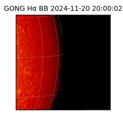 gong - 2024-11-20T20:00:02