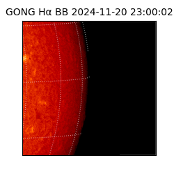 gong - 2024-11-20T23:00:02