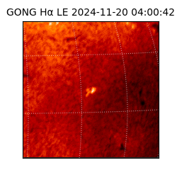 gong - 2024-11-20T04:00:42