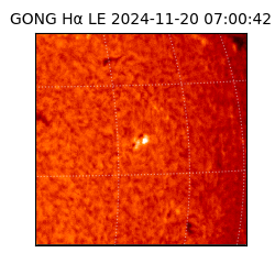 gong - 2024-11-20T07:00:42