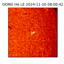 gong - 2024-11-20T08:00:42