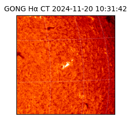 gong - 2024-11-20T10:31:42