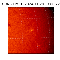 gong - 2024-11-20T13:00:22