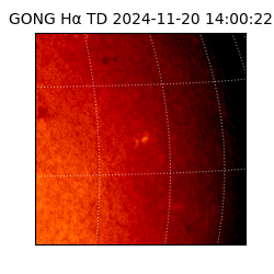 gong - 2024-11-20T14:00:22