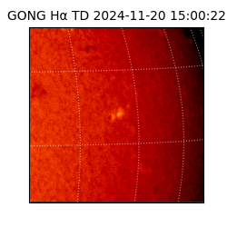 gong - 2024-11-20T15:00:22