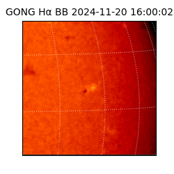 gong - 2024-11-20T16:00:02