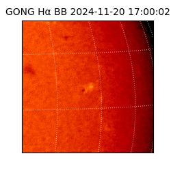 gong - 2024-11-20T17:00:02