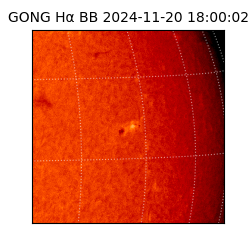 gong - 2024-11-20T18:00:02