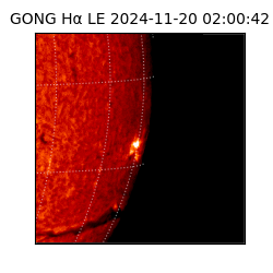 gong - 2024-11-20T02:00:42