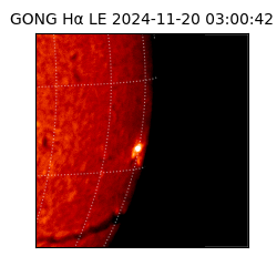 gong - 2024-11-20T03:00:42