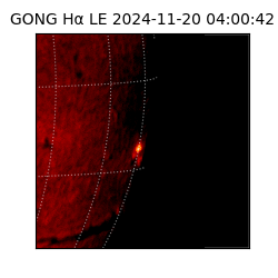 gong - 2024-11-20T04:00:42