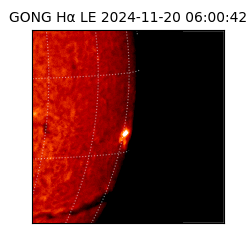 gong - 2024-11-20T06:00:42