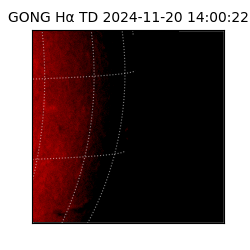 gong - 2024-11-20T14:00:22