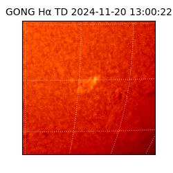 gong - 2024-11-20T13:00:22