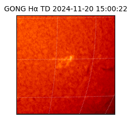 gong - 2024-11-20T15:00:22