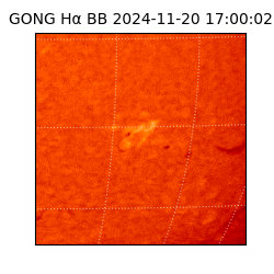 gong - 2024-11-20T17:00:02