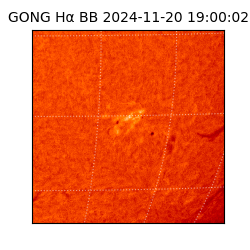 gong - 2024-11-20T19:00:02