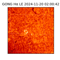 gong - 2024-11-20T02:00:42