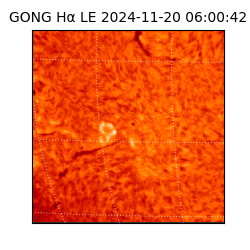 gong - 2024-11-20T06:00:42