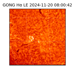 gong - 2024-11-20T08:00:42