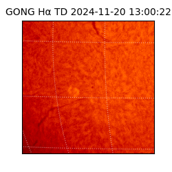 gong - 2024-11-20T13:00:22