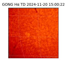 gong - 2024-11-20T15:00:22