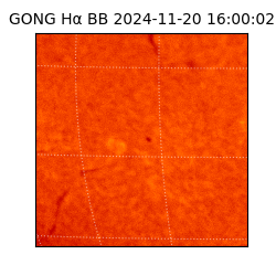 gong - 2024-11-20T16:00:02