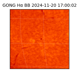 gong - 2024-11-20T17:00:02