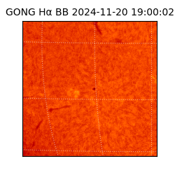 gong - 2024-11-20T19:00:02