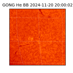 gong - 2024-11-20T20:00:02