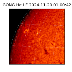 gong - 2024-11-20T01:00:42