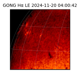 gong - 2024-11-20T04:00:42