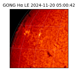 gong - 2024-11-20T05:00:42