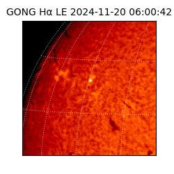 gong - 2024-11-20T06:00:42