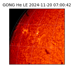 gong - 2024-11-20T07:00:42