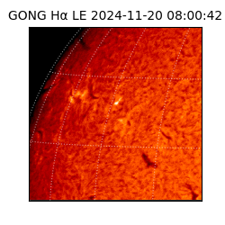 gong - 2024-11-20T08:00:42