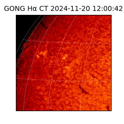 gong - 2024-11-20T12:00:42