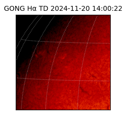 gong - 2024-11-20T14:00:22