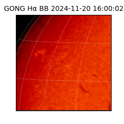 gong - 2024-11-20T16:00:02