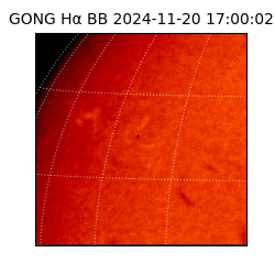 gong - 2024-11-20T17:00:02