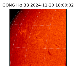 gong - 2024-11-20T18:00:02