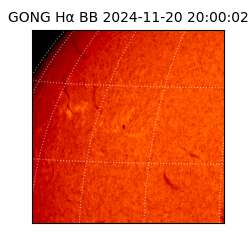 gong - 2024-11-20T20:00:02