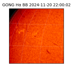 gong - 2024-11-20T22:00:02