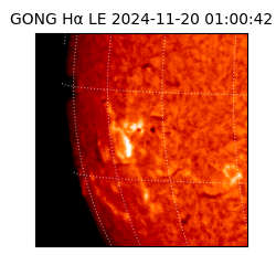 gong - 2024-11-20T01:00:42