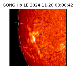 gong - 2024-11-20T03:00:42