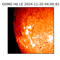 gong - 2024-11-20T04:00:42