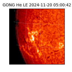 gong - 2024-11-20T05:00:42