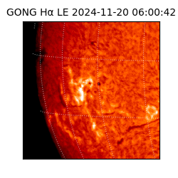 gong - 2024-11-20T06:00:42
