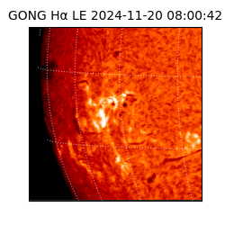 gong - 2024-11-20T08:00:42